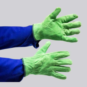 Suede Leather, Green Parrot, XS - XXL Available (SUPPLE LEATHER )