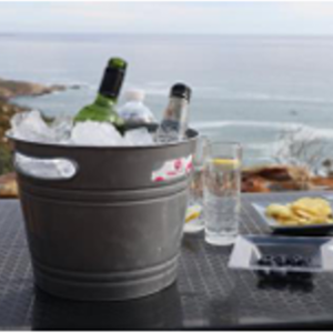 Ice Bucket Delicate Blue, Black, Coral, Red, Silver, Mint, Avo, Assorted and White Packs of 5